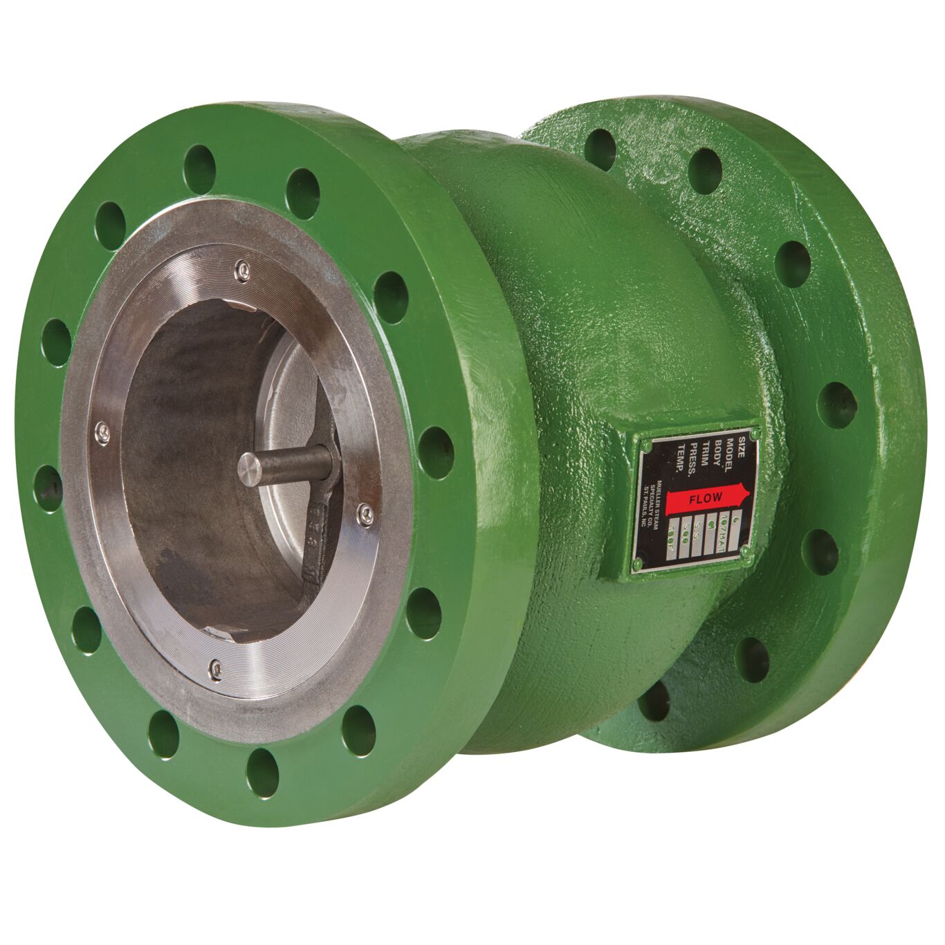 mueller check valves