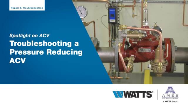 Watts 1/2 LF263A 10-125 Water Pressure Regulator Valve, 1/2 in.