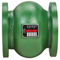 Product Image - 6 Inch Silent Check, Cast Iron, Globe, 125 Flanged, Ss Trim, Lead Free