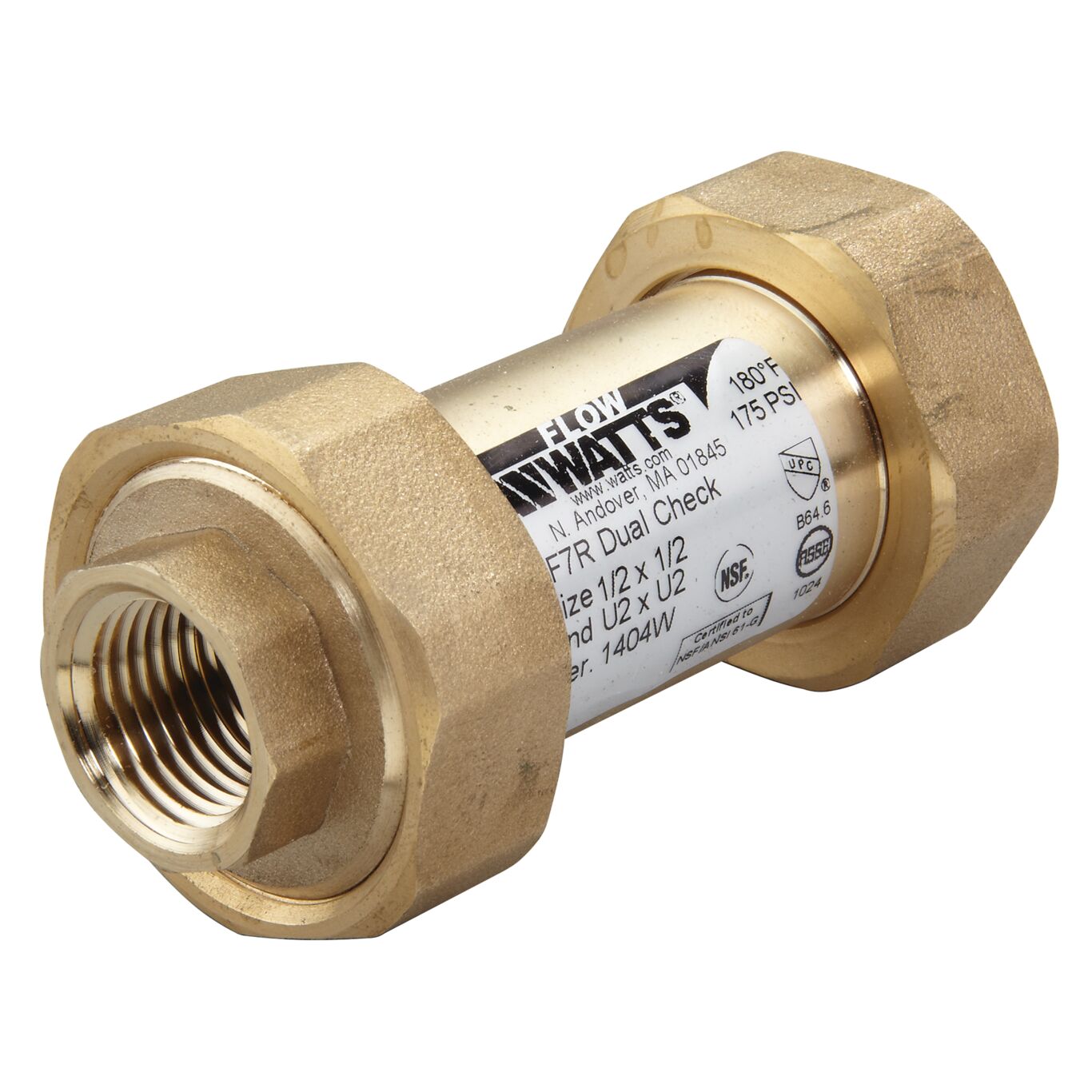 Residential dual check valve