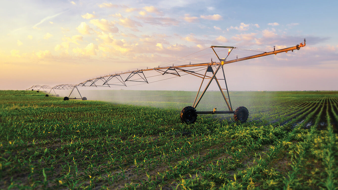 Setting the Standard for Irrigation Control Systems | Watts