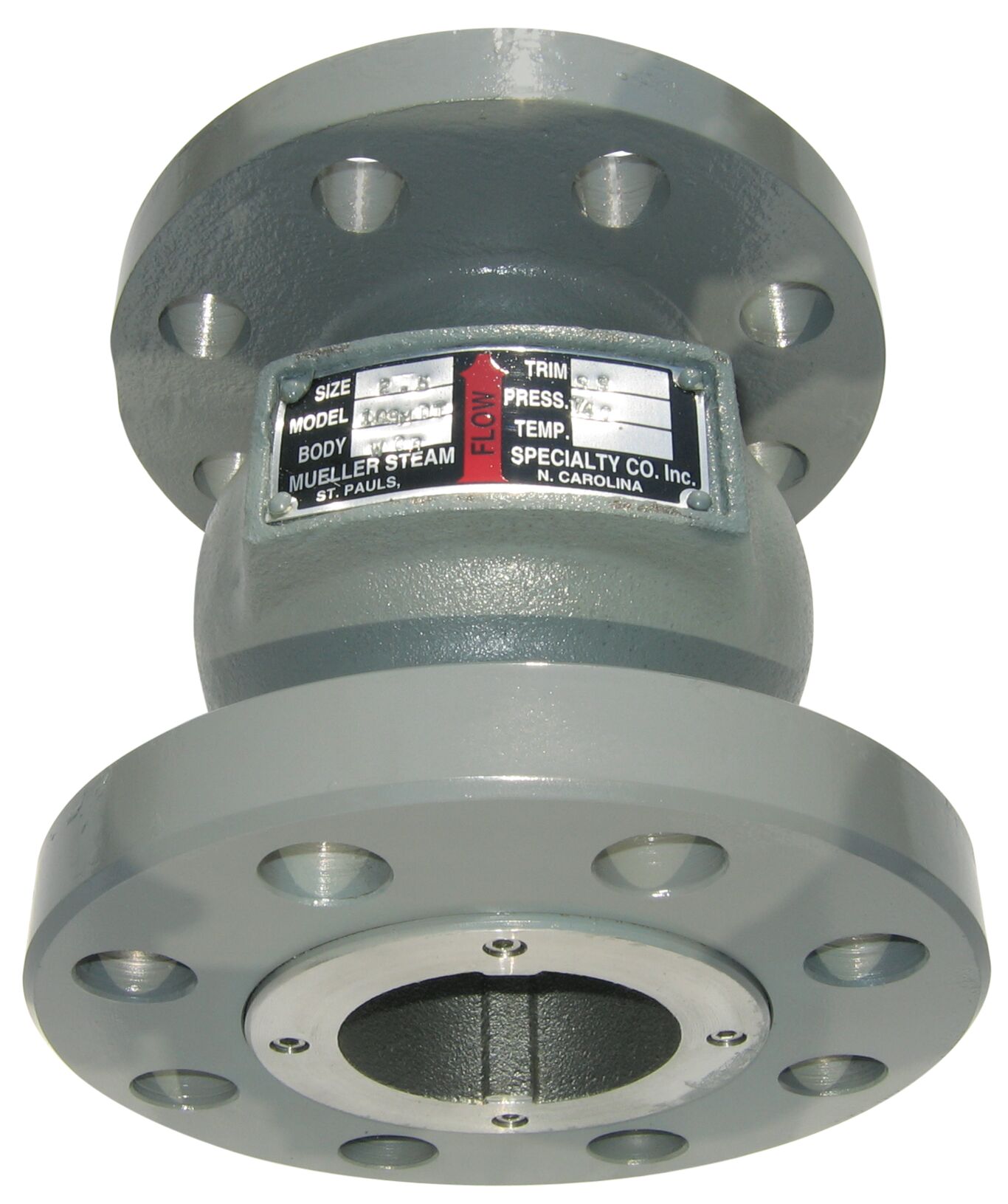 mueller check valves