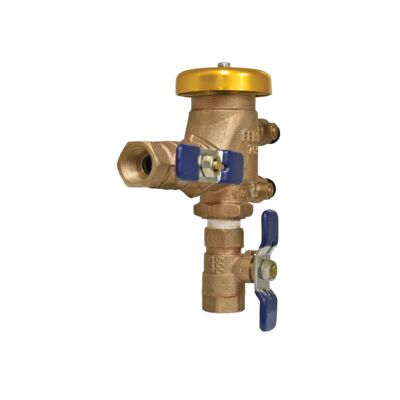 Febco FE765-125 765 PVB Backflow Preventer 1-1/4, 50% OFF