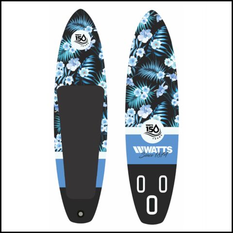 q3_paddleboard