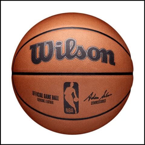 Wilson baskeball_web