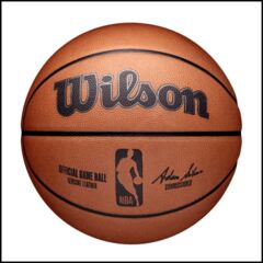 Wilson baskeball_web