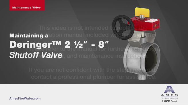 Deringer 40G Reduced Pressure Backflow Preventer with Gate Valves