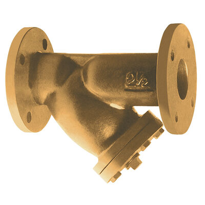 What Is the Brass (wye) Y Strainer Valve? - Premium Residential